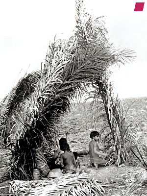 'A leaf shelter in the dry season' von den Nambikwara 1938, aus 'Tristes Tropiques' von Claude Lévi-Strauss 1955